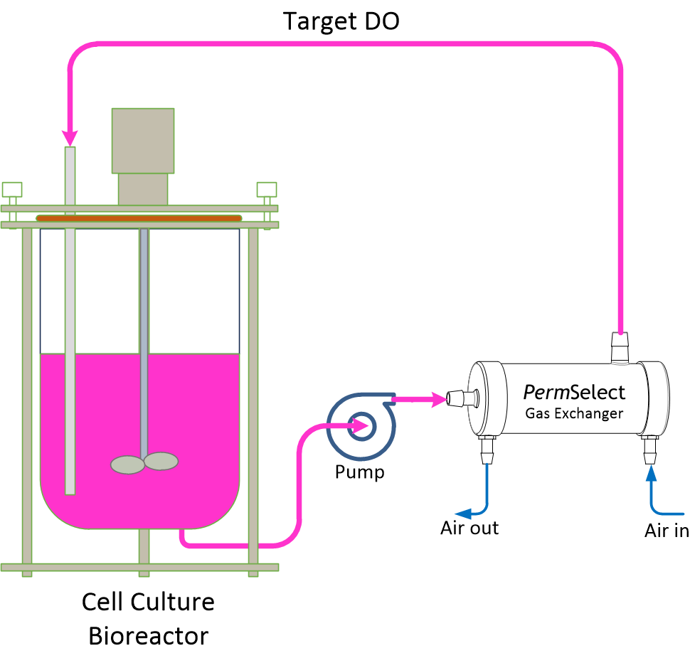 Bubble free sparging