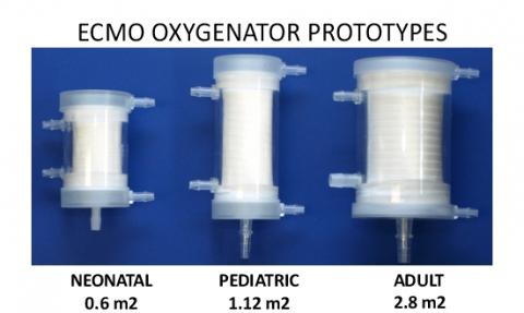 ECMO Prototypes