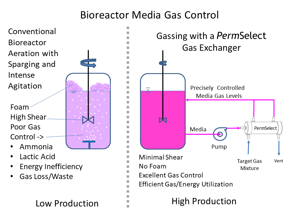 BubbleFree Sparging & Aeration Control in Bioreactors Gentle