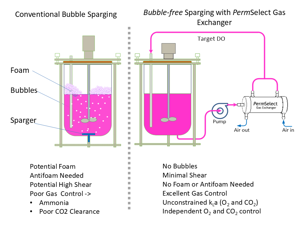 Conventional bubble sparging vs bubble free aeration